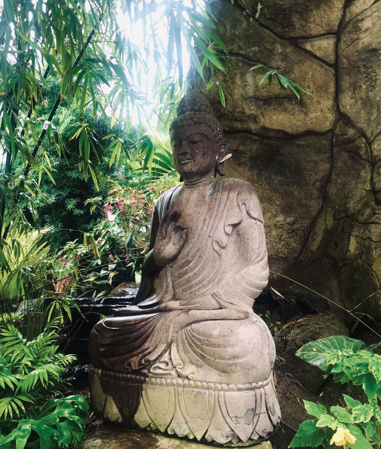 Botanical Gardens, 2/13/21